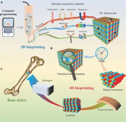  Fibrinogen: Materiali Innovativi per la Ricostruzione Ossea e Tissue Engineering