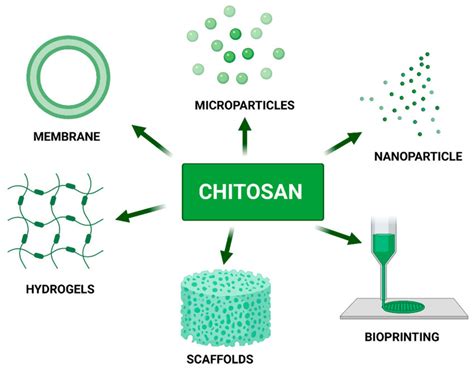  Quaternized Chitosan: Il Materiale Rivoluzionario per Applicazioni Biomediche e Biosensoristiche!