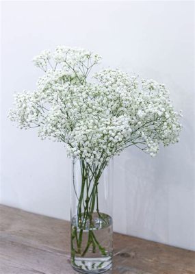 How Much is Baby Breath Flowers: A Whimsical Exploration of Floral Economics and Beyond